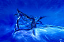 crystal-rose