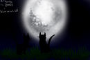 warriors-at-full-moon warriors-at-full-moon
