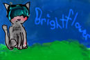 brightflower