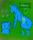 joshua-the-wolf