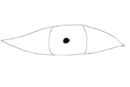 test2