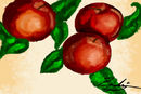 peaches