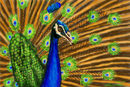 peacock