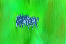 the-last-blue-rose-hid the-last-blue-rose-hid