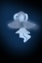 fairy-dust-chris