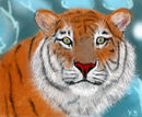 tiger