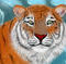 tiger by yos33