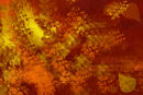 autumn-winds
