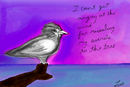 the-bird
