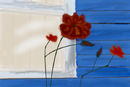beach-house-window