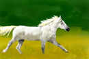 running-horse