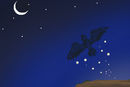 ravens-bag-of-stars