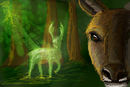 forest-spirit