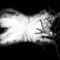in-the-dark by 306girls