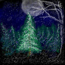 magic-forest magic-forest