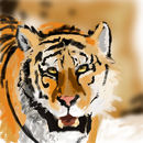 some-tiger
