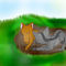 graystripe-and-firehea by belizegirl