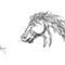 horsey-d by ILGN