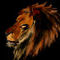 lion by themersisters