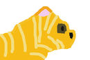 me-as-a-cat