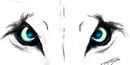 sly-foxes sly-foxes