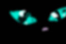 which-warrior-cats-eye