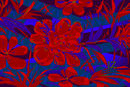 flowers flowers