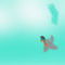 flying-cardinal by Wildleaf