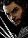 wolverine