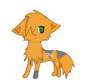 foxwind