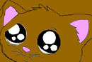 cute-kitty-cat