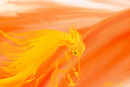 ghost-horse ghost-horse
