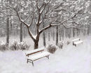 today--the-park