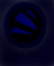 the-shadow
