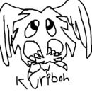 cute-pet