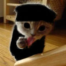 cat-burglar