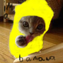 im-a-banana