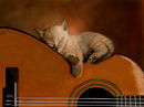sweet-slumber