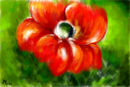 red-on-green