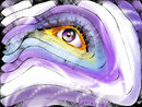 eye