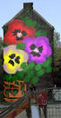 pansies