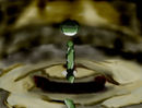 waterdrop