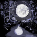 spirit-of-the-night