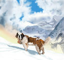 st-bernard