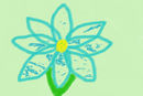 a-flower