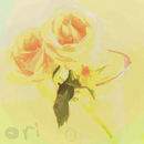 rose-of-fun-variation