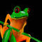 meet-mrfroggy by rosebuddy