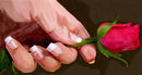 give-me-rose