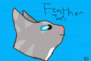 feathertail