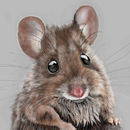 mouse